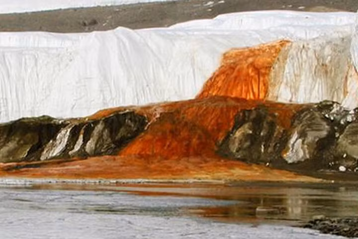 Những sự thật lạ lùng mà thú vị ở châu Nam Cực