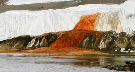 Nhung su that la lung ma thu vi o chau Nam Cuc - Anh 12