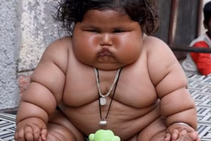 Kumar nặng tới 20kg dù mới 4 tháng.