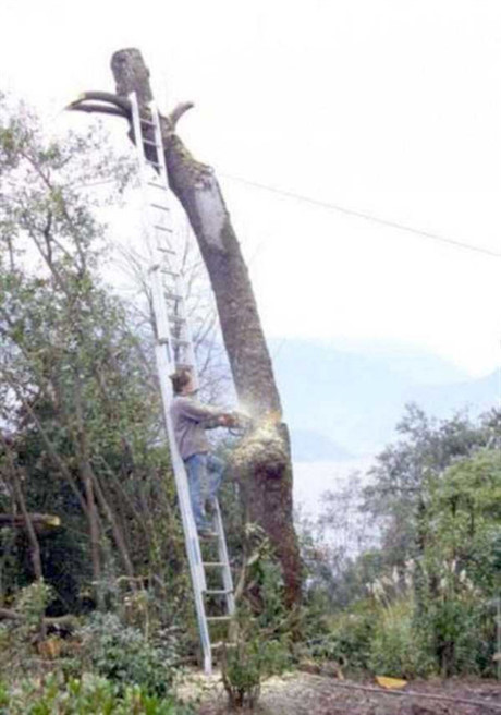 Những hành động nguy hiểm và ngốc nghếch nhất thế giới - Ảnh 11 Nhung hanh dong nguy hiem va ngoc nghech nhat the gioi - Anh 11