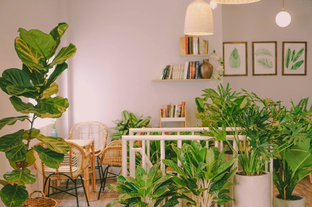 Không gian nhỏ xinh tại tiệm trà. Ảnh: Nhân vật cung cấp.