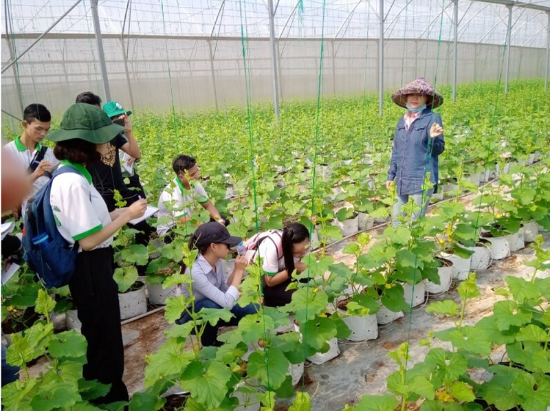 Sinh viên nhóm ngành Lâm nghiệp Trường ĐH Lâm nghiệp trong một lần đi thực tế. Sinh viên nhóm ngành Lâm nghiệp Trường ĐH Lâm nghiệp trong một lần đi thực tế.