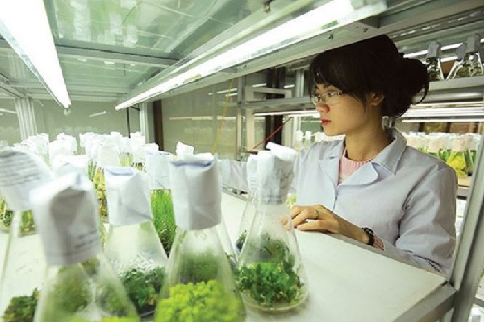 Sinh viên ngành Nông học trong phòng thí nghiệm.
