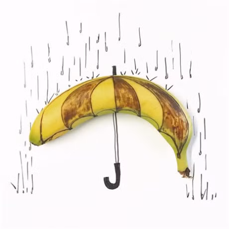 Nhung buc tranh minh hoa hai huoc duoc ve tu chuoi - Anh 6