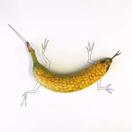 Nhung buc tranh minh hoa hai huoc duoc ve tu chuoi - Anh 13