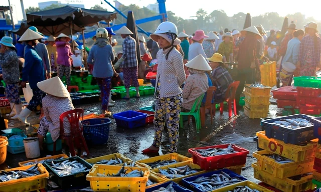 Bộ luật Lao động sửa đổi đã mở rộng phạm vi điều chỉnh đến đối tượng lao động phi chính thức.