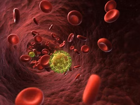 Hình mô phỏng HIV ở máu lưu thông trong cơ thể người. Ảnh: Shutterstock