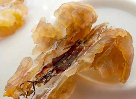 Những điều chưa biết về Nhung dieu chua biet ve