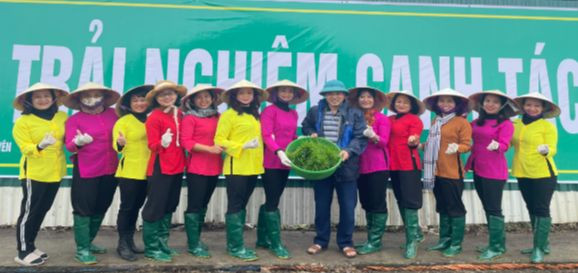 Những thợ cấy nghiệp dư của Trường THPT Vĩnh Yên. Ảnh: TG Những thợ cấy nghiệp dư của Trường THPT Vĩnh Yên. Ảnh: TG