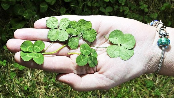 Giải mã vì sao nhiều người may mắn đến khó tin ảnh 7