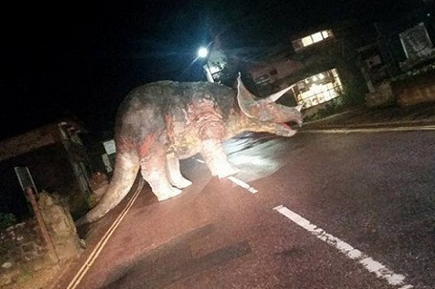 Hình ảnh về chú khủng long này được Chris Hollingshead ghi lại