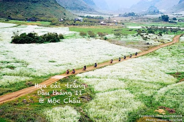 Hãy xem bộ ảnh này để thấy Việt Nam mình có những mùa lúa, mùa hoa thật đẹp! - Ảnh 23.