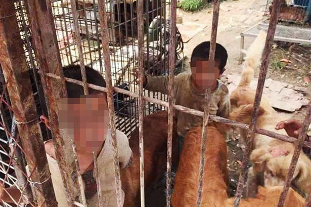 Xót xa hai cậu bé bị bố mẹ bỏ rơi sống trong chuồng chó
