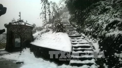 Hiện tượng El Nino đang tác động đến thời tiết ở Việt Nam