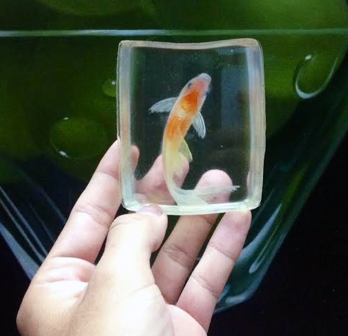 Tranh 3D, tranh cá, tranh cá 3D, 8x, Lê Phạm Chiến Thắng, tranh nghệ thuật, tranh-3D, tranh-cá, tranh-cá-3D, Lê-Phạm-Chiến-Thắng, tranh-nghệ-thuật Tranh 3D, tranh cá, tranh cá 3D, 8x, Lê Phạm Chiến Thắng, tranh nghệ thuật, tranh-3D, tranh-cá, tranh-cá-3D, Lê-Phạm-Chiến-Thắng, tranh-nghệ-thuật