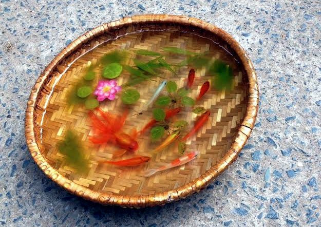Tranh 3D, tranh cá, tranh cá 3D, 8x, Lê Phạm Chiến Thắng, tranh nghệ thuật, tranh-3D, tranh-cá, tranh-cá-3D, Lê-Phạm-Chiến-Thắng, tranh-nghệ-thuật Tranh 3D, tranh cá, tranh cá 3D, 8x, Lê Phạm Chiến Thắng, tranh nghệ thuật, tranh-3D, tranh-cá, tranh-cá-3D, Lê-Phạm-Chiến-Thắng, tranh-nghệ-thuật