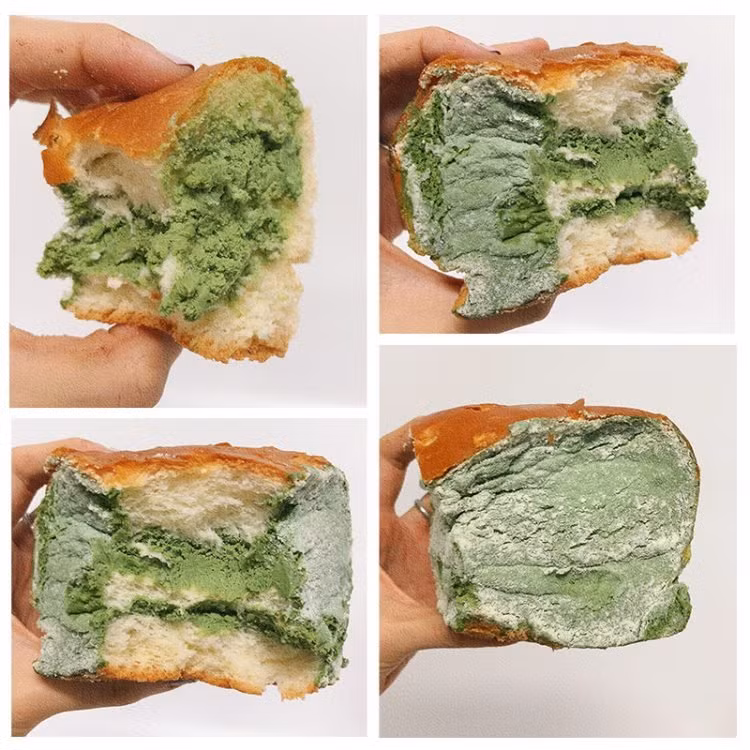 Đua nhau "săn lùng" món bánh mì mốc meo ảnh 2