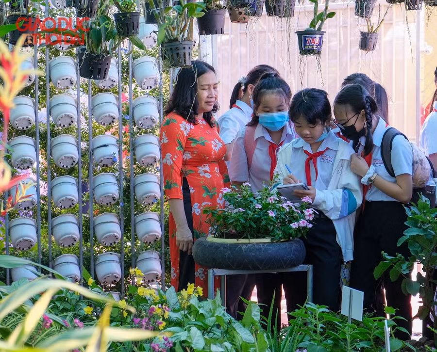 Cô, trò cùng tìm hiểu về các loài thực vật.