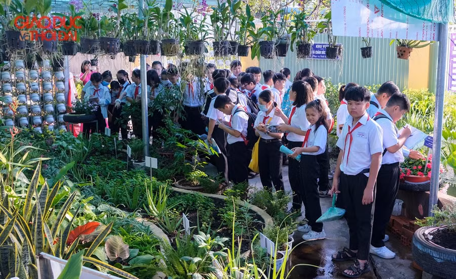 Thầy, trò hào hứng trải nghiệm “Vườn Sinh vật” ảnh 4