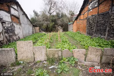 Trung Quoc: Dan dung bia mo co tram nam de xay nha - Anh 2