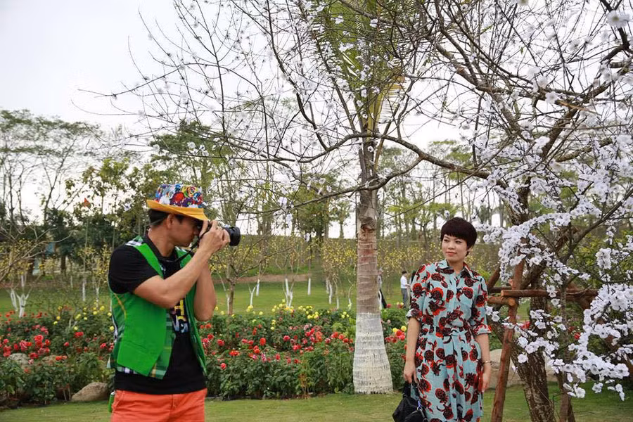 Xuân Bắc, du xuân