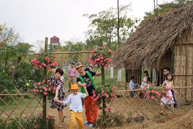 Xuân Bắc, du xuân