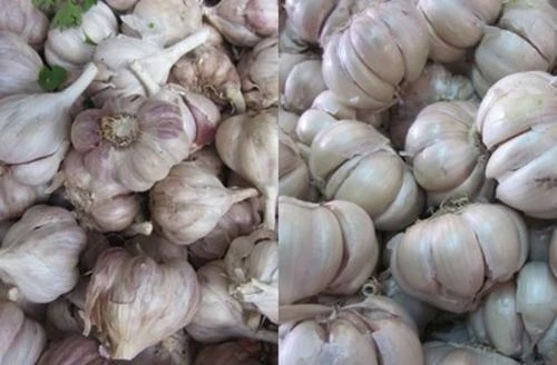 Cách phân biệt rau củ quả Việt Nam
