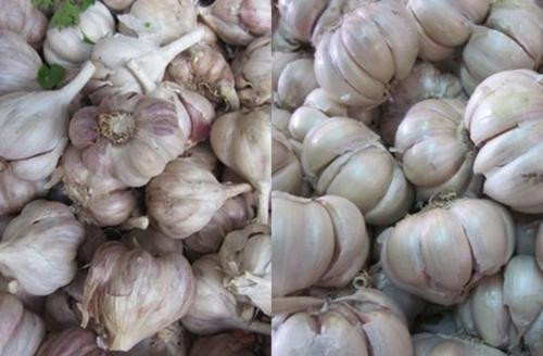 Cách phân biệt rau củ quả Việt Nam
