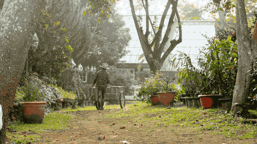 Chàng trai 32 tuổi chi gần 1,7 tỷ mỗi năm để... ăn hoa quả dại ảnh 8