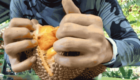 Chàng trai 32 tuổi chi gần 1,7 tỷ mỗi năm để... ăn hoa quả dại ảnh 7