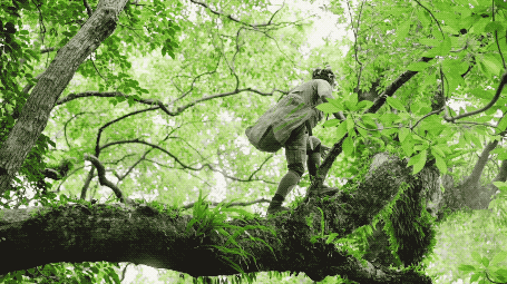 Chàng trai 32 tuổi chi gần 1,7 tỷ mỗi năm để... ăn hoa quả dại ảnh 2