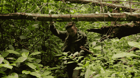 Yang Xiaoyang bắt đầu trở thành thợ săn trái cây dại từ năm 2013.