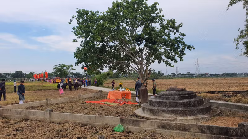 'Độc lạ' lễ hội Mục đồng ở Đà Nẵng