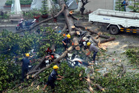 Mưa lớn, cây xanh đổ đè bẹp hơn 50 xe máy ở TP.HCM ảnh 4