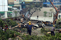 Mưa lớn, cây xanh đổ đè bẹp hơn 50 xe máy ở TP.HCM ảnh 1