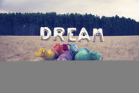 Lạ lùng những chú cừu mang sắc cầu vồng