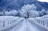 Vẻ đẹp băng giá của nước Mỹ khi vào đông ảnh 1