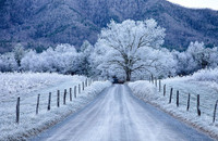 Vẻ đẹp băng giá của nước Mỹ khi vào đông ảnh 1