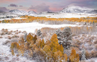 Vẻ đẹp băng giá của nước Mỹ khi vào đông ảnh 9