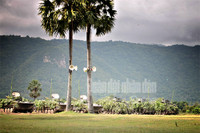 Xem tiêm kích Su-30 diệt mục tiêu, trực thăng bắn rốc két, pháo phòng không nhả đạn ảnh 5 Xe tăng và thiết giáp của Lữ đoàn 416 (Quân khu 9) tham gia diễn tập.