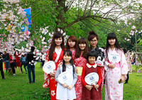 Hoàng thành Thăng Long thắm sắc hoa anh đào Nhật Bản ảnh 7