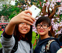 Hoàng thành Thăng Long thắm sắc hoa anh đào Nhật Bản ảnh 5