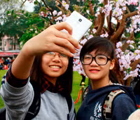 Hoàng thành Thăng Long thắm sắc hoa anh đào Nhật Bản ảnh 5