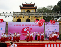 Hoàng thành Thăng Long thắm sắc hoa anh đào Nhật Bản ảnh 1