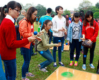 Hoàng thành Thăng Long thắm sắc hoa anh đào Nhật Bản ảnh 9