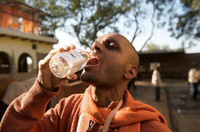 Ấn Độ: Giải khát bằng... nước tiểu bò ảnh 15 Ấn Độ: Giải khát bằng... nước tiểu bò ảnh 15