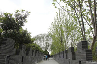 Vạn Lý Trường Thành, Vũ Hán