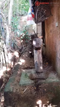 "Nhà chị Dậu" nhếch nhác giữa...Việt Phủ Thành Chương ảnh 17