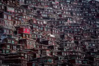 Khu định cư của người theo đạo Phật lớn nhất thế giới ảnh 2