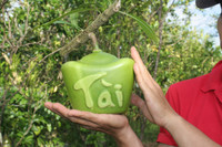 Ngắm vườn đào tiên hình hồ lô, hình thỏi vàng giá bạc triệu ảnh 10